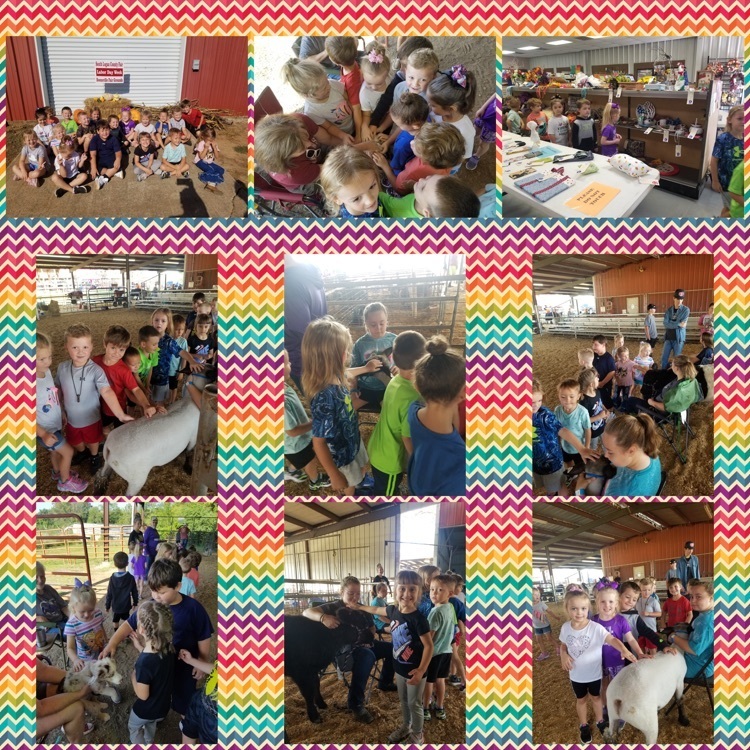 Mrs. Golden's class at the South Logan County Fair. The students had a blast petting the animals and learning about the fair today!! 