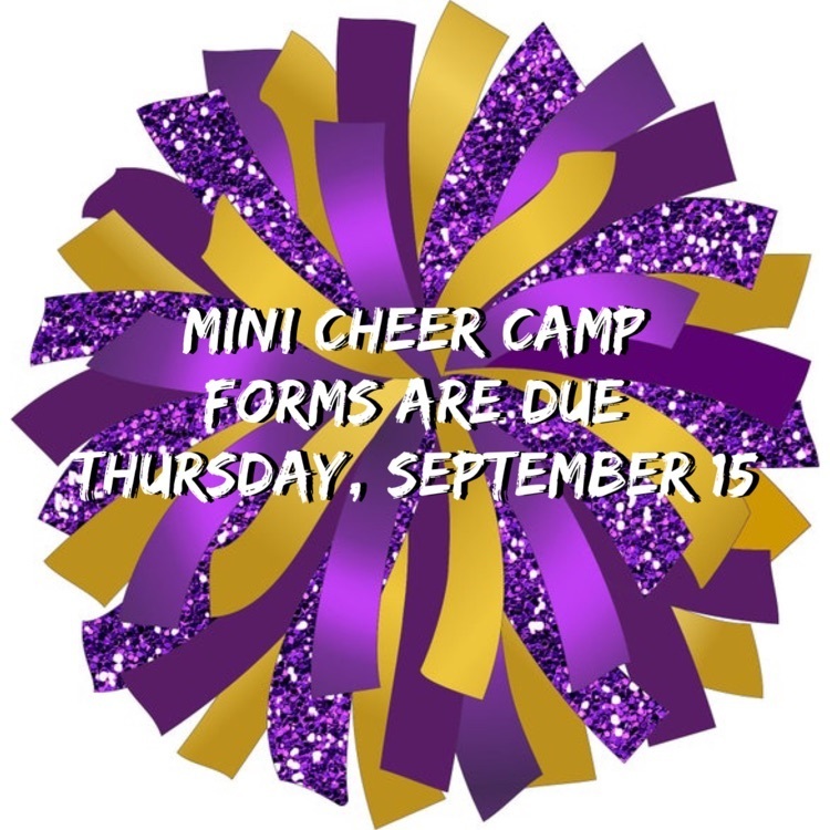 Mini Cheer Camp Info